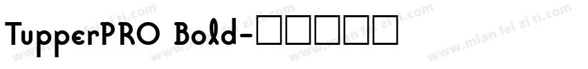 TupperPRO Bold字体转换